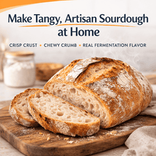 Load image into Gallery viewer, 72- Hour Rapid Sourdough Starter - Single Unit
