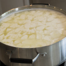 Load image into Gallery viewer, Mozzarella and Ricotta Cheese Making Kit - Single Unit