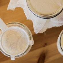 Load image into Gallery viewer, Milk Kefir Starter Kit - Single Unit
