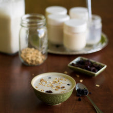 Load image into Gallery viewer, Vegan Yogurt Starter Kit - Single Unit