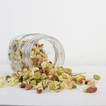 Load image into Gallery viewer, Vegan Protein Sprouting Seed Blend
