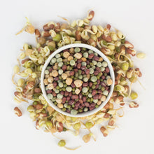 Load image into Gallery viewer, Vegan Protein Sprouting Seed Blend
